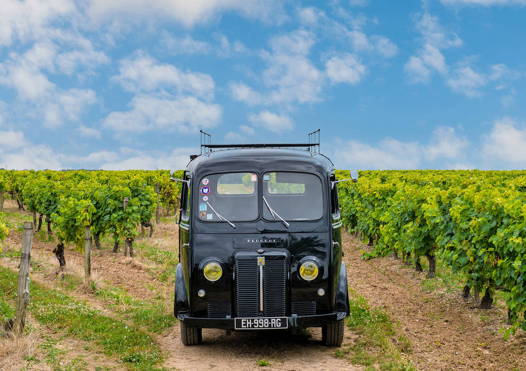 a retro black car sits in the centre in the middle of a vineyard