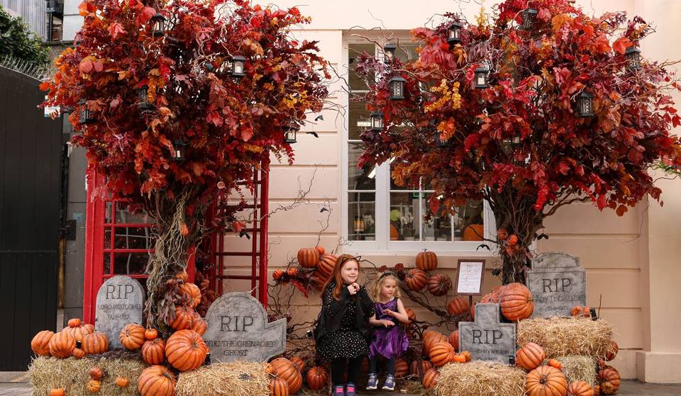 A Free Spooktacular Pumpkin Trail Has Arrived In Belgravia For Pumpkins Galore