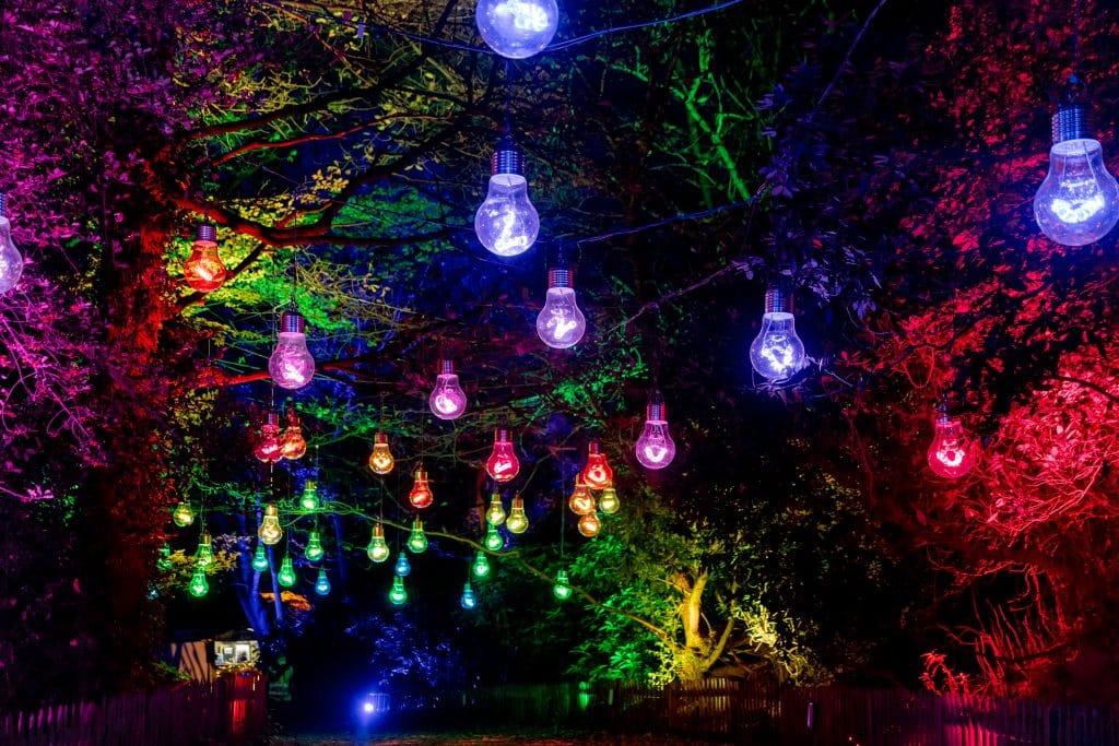 Multi-coloured bulbs hang from tree branches at Christmas at Kenwood.