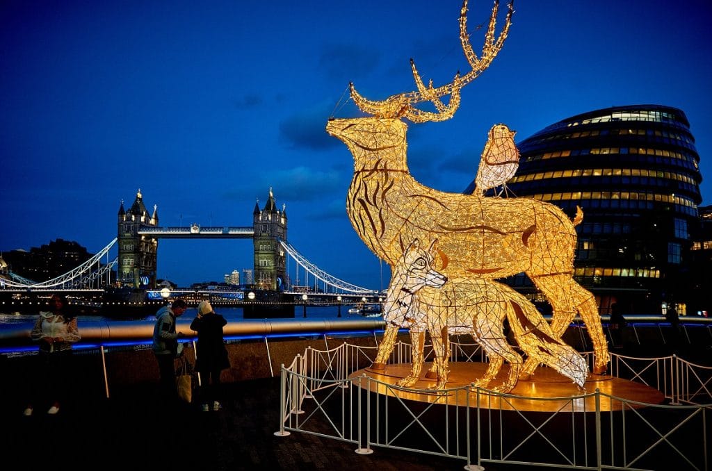a lit up decoration of a reindeer, a fox, and an owl at winter by the river's markets