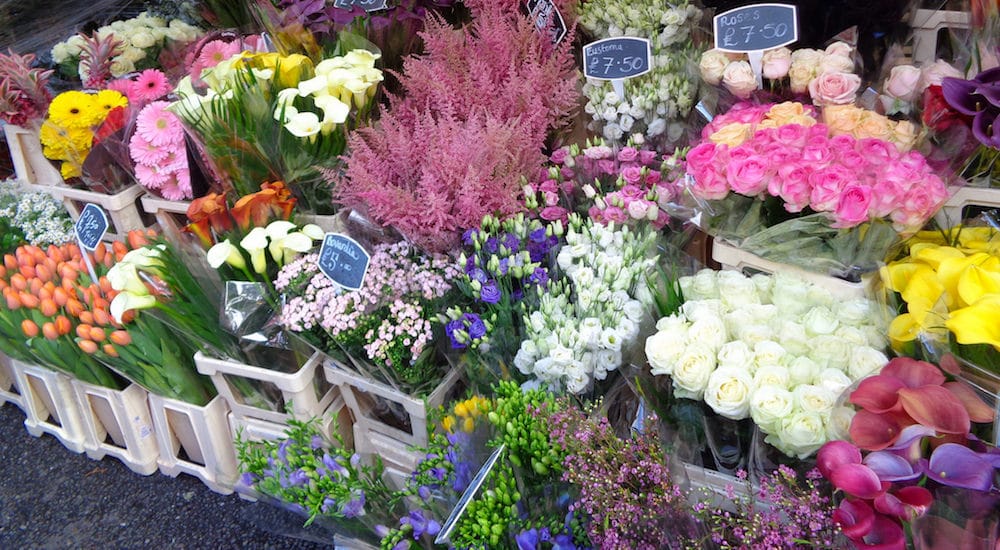 This Fabulous Floral Market Is A Smashing Way To Spend A Sunday • Columbia Road Flower Market