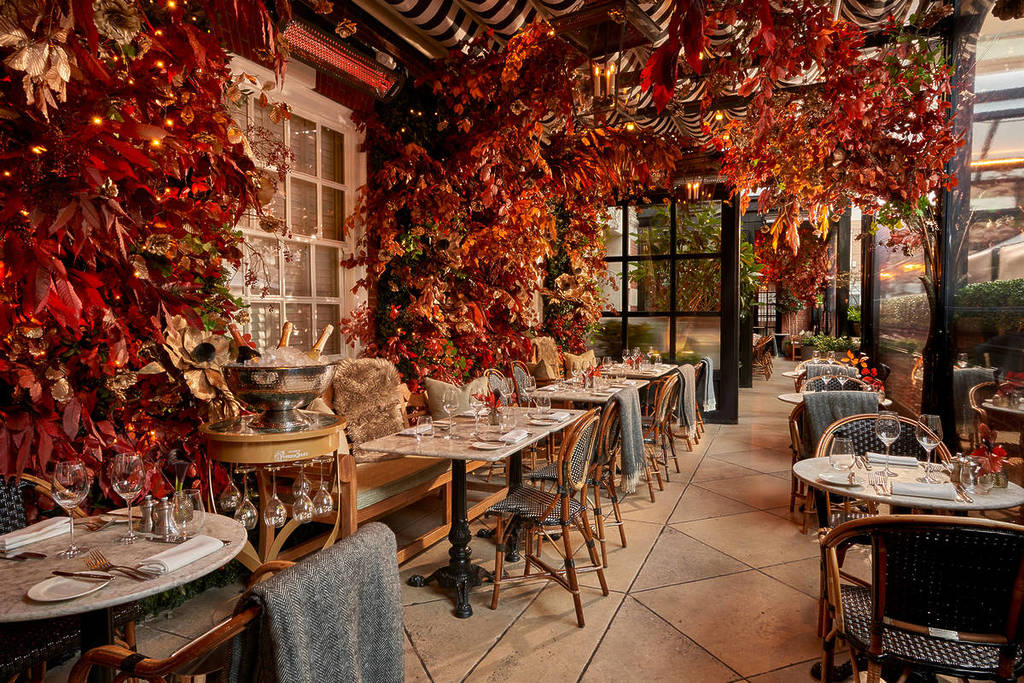 a gorgeous foliage and leaves strewn terrace
