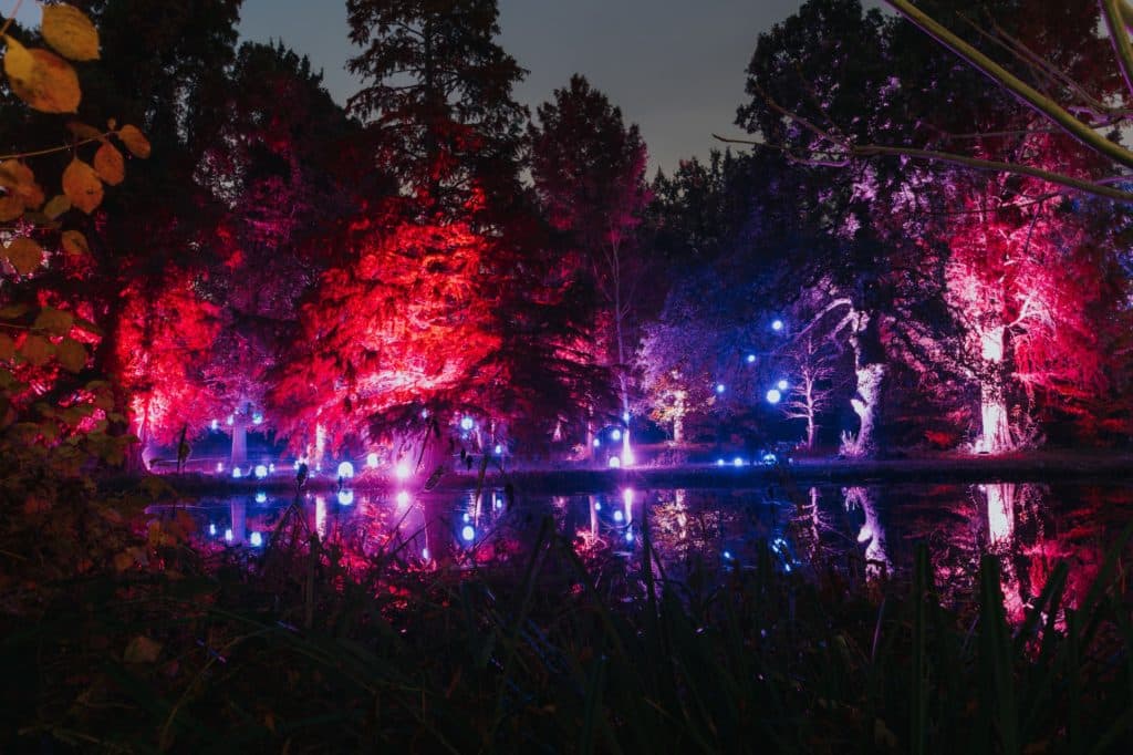 This Beautiful Enchanted Woodland Might Be The Most Magical Place In London