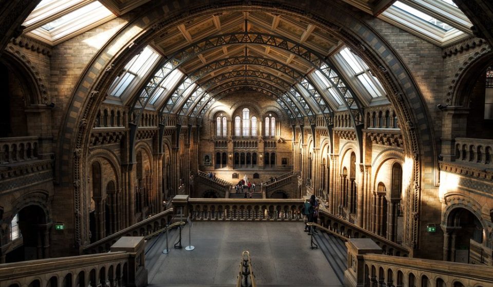A Fantastic Beasts-Inspired Exhibition Is Coming To The Natural History Museum