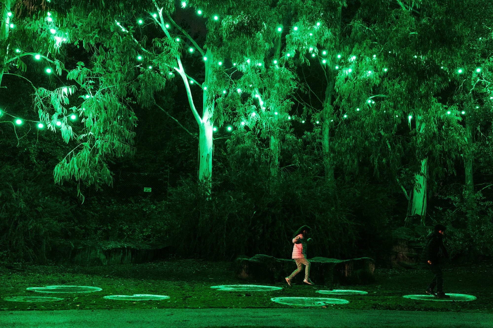 children jumping between illuminated lily pads at illuminature light trail
