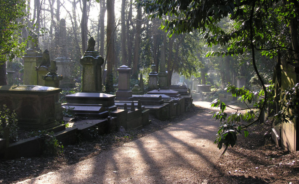 a shot of the main path in highgate cemetery, with the sun streaming through the trees
