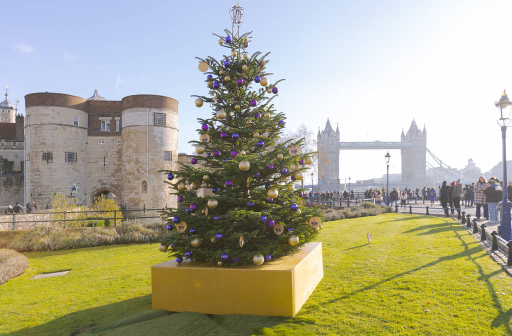 a christmas tree on a sunny day against the backdrop of the tower of london and tower bridge in the distance