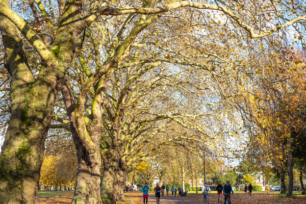 People walking and running through Victoria Park in London during the Autumn 