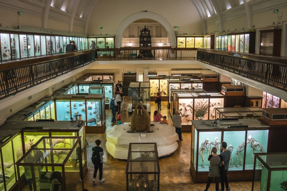 The interior of the magical Horniman Museum in South East London
