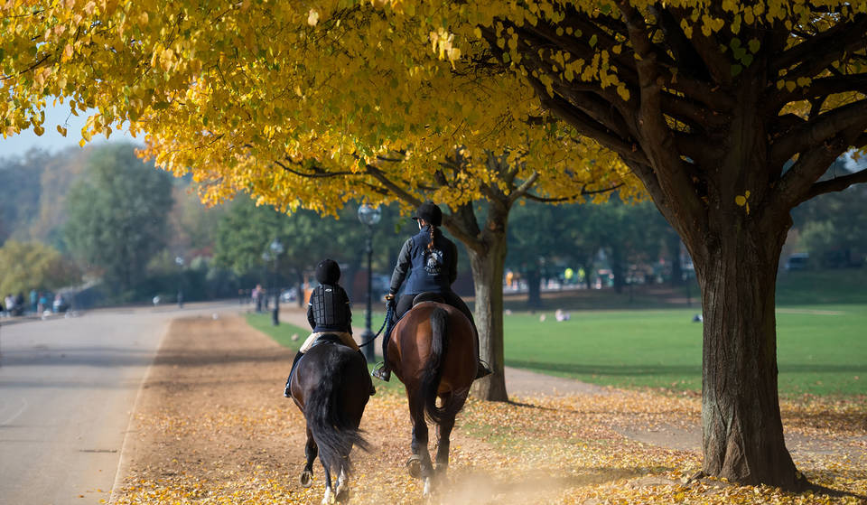 7 Fantastic Places To Take The Reins And Go Horse Riding in London