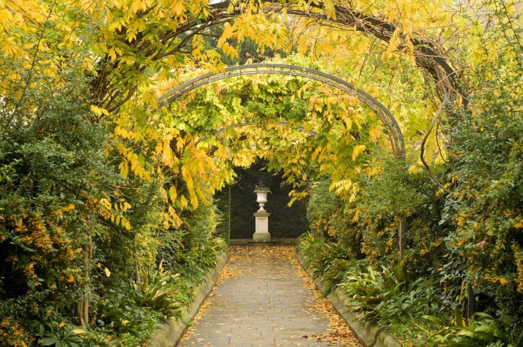 a view down the archway covered path at St John's Lodge garden