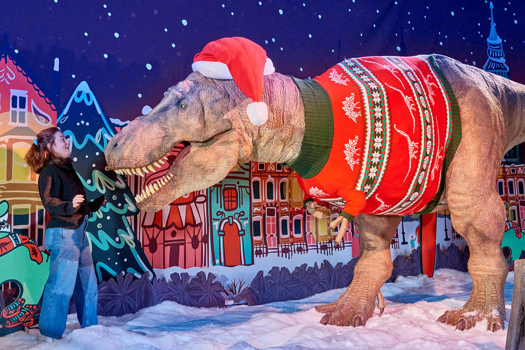 someone pretending to be scared peering into the mouth of a t-rex animatronic that has been kitted out in a christmas sweater and hat
