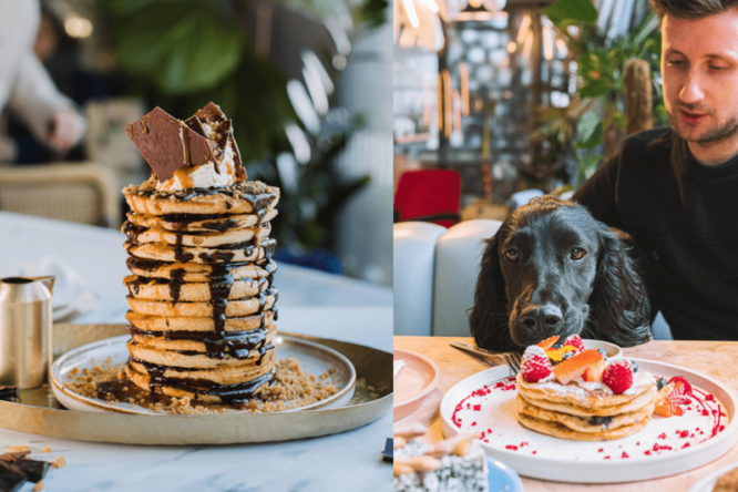 A stack of pancakes and a man with his spaniel at Daisy Green in London